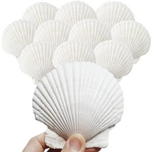 GRANITA 10Pcs 4-5 inch Sea Shells White Scallop Shells for Cooking Crafts, Large Sea Shells for Crafting Seashells Wreath Decoration for Home Decor