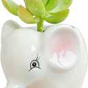 DIYOMR Cute Animal Ceramics Planter Small Succulent Pot Cartoon Shaped Plant Pot for Mini Plants Flower Cactus, Smooth Shiny Ceramic - Plants Not Included (Elephant)