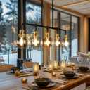 KSANA Chandeliers for Dining Room, 2 Light Linear Chandelier Modern Farmhouse Kitchen Island Light with Seeded Glass Pool Table Light for Kitchen, Dining Room, Living Room
