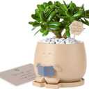 Bookworm Planter Pot with Drainage Cute Plant Pots for Succulents & Small Plants | Teacher Gifts Housewarming|Book Lover Gift, Indoor Planters | Christmas Teacher Gift Mother Dad Appreciation