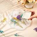 Woanger 100 Pcs Mini Dried Babys Breath Flowers Bulk for Resin Art DIY Craft Dried Natural Gypsophila Branches for Wedding Card Making, Gifts Wrap, Pressed Baby's Breath Flowers Bouquet, 5 Colors