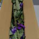 HyeFlora Artificial Flowers for Outdoors 2PCS Faux Petunias Silk Fake Flowers for Outside Planter UV Resistant Realistic Home Garden Porch Decor (Purple)