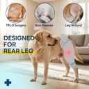 Dog Rear Leg Sleeve to Stop Licking, Upgraded Hind Leg Cover to Stop Slipping, for TPLO Surgery, Skin Conditions, Wounds, Breathable Soft Fabric, Dog Cone Alternative(Grey,Right L)