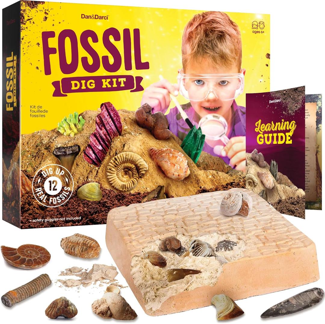 Dan&Darci Real Fossil Dig Kit for Kids - Science Kits for Boys & Girls Age 8-12 - Birthday Gift Ideas for 8, 9, 10, 11, 12 Year Old Boy or Girl - Fossils Digging STEM Toys for Ages 8-13