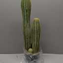 Artificial Cactus Fake Big Cactus 24 Inch Faux Cacti Plants for Home Garden Office Store Decoration