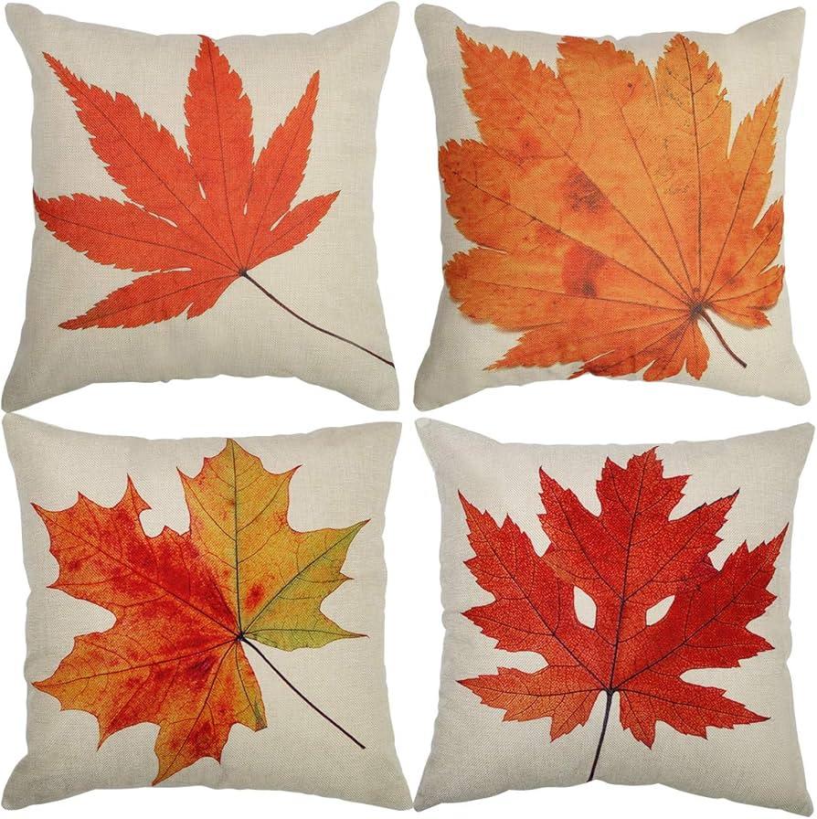 Pillow Cases 4 Pack 20 In