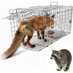 Live Animal Cage Trap, 37" x 13" x 14.5" Humane Cat Trap Galvanized Iron, Folding Raccoon Traps with Handle for Stray Cats, Raccoons, Foxes, Large Dogs, Coyotes, Catch and Release