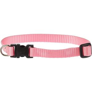 LupinePet Basics 1/2" Pink 10-16" Adjustable Collar for Small Dogs