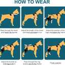 Dog Knee Brace for torn acl hind leg with Adjustable Hinge Stabilizer, Dog back brace for Osteoarthritis, Dog leg brace Support for Cruciate Ligament Injury,Recovery After,Patent Pending(Right Leg,L)