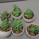 Der Rose Set of 6 Succulents Plants Artificial in Pots Small Fake Plants for Bedroom Aesthetic Living Room Shelf Bathroom Decor Office Desk Accessories (Green)