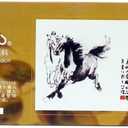 Marie's Artist Chinese Watercolor Paint Set - Professional Quality High Pigment for Vivid Color Mixing - 18 x 12 ml Tubes; Assorted Colors