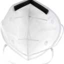 Honeywell Safety NIOSH-Approved N95 DF300 Flatfold Respirator, 20-pack (RAP-74038), White,One Size Fits All