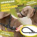 Fida Durable Slip Lead Dog Leash, 6 FT x 1/2" Heavy Duty Dog Loop Leashes, Comfortable Strong Rope Slip Leash for Large Medium Dogs, No Pull Pet Training Lead with Highly Reflective(1/2", Black)