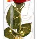 Valentines Day Gifts for Her,Beauty and The Beast Rose in Glass Dome,Lasts Forever Red Rose with LED Lights,Gifts for Women,Mom,Wife,Anniversary,Birthday, Wedding Home Decor