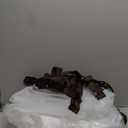 ZYP 2PCS 8x16 FT Heavy Duty Clear Waterproof Tarps Outdoor Garden Rainproof Covering,Clear Vinyl Tarp with Grommets,Transparent Waterproof Tarpaulin for Covering Henhouse Porch Canopy Plant Camping