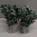 Coferset 2 Pack Small Fake Plants Potted Artificial Herb Plants for Shelf Desk Home Bathroom Farmhouse Room Coffee Table Decor (Gray Green)