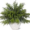 Juxdp 40 Pcs Real Touch Norfolk Pine Branches, Artificial Christmas Green Plants Branch Faux Greenery Stem Fake Pine Picks for Vase DIY Crafts Garland Wreath Xmas Indoor Outdoor Decor (18 Inches)