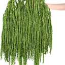 Suncalla Forest Green Spring Natural Dried Amaranthus Hanging Flowers Amaranthus Artificial Flowers for Wedding Arch Bouquet Floral Garland Wall Home Decoration (23 Inch,12 Pcs)