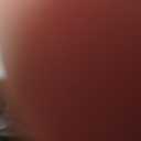 Quilt Set King Size Cream White with Black Branch Bedding Set 88x88 Soft Microfiber Lightweight Coverlet Bedspread Summer 3 Pc Bed Cover for (1 Quilt+ 2 Shams)