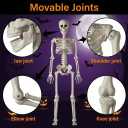 HBSTK 2 Pack 36 Inches Halloween Skeleton Full Body Posable Movable Jonints for Halloween Decoration Dcor, 2 Pack 40Inch Skeleton
