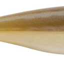2 x Berkley PowerBait The Champ Minnow Fishing Bait, Green Pumpkin, 2.5in, Irresistible Scent and Flavor, Ideal for Bass and Walleye