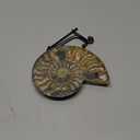Natural Beautiful Ammonite Fossil Conch Specimen Collectibles Home Decor Gifts Ornament (6-7in)