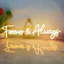 Forever And Always Neon Signs for Wall Decor Dimmable, USB Powered LED Light Sign, Forever & Always Neon Sign for Wedding Anniversary, Bedroom, Bar Decoration, 22.5"x6.6", Warm White