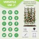 Jesosia Garden Trellis for Climbing Plants Outdoor - 65" PE-Coated Metal Pipes & Plastic Grids Rose Wall Trellis Frame - Sturdy Privacy Screen Plant Support Fence for Flowers Vines Vegetables
