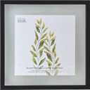 Studio Decor Black Float Frame (14 x 14)