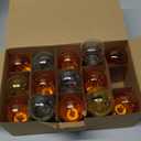 15 Pack S14 LED Light Bulb Orange Led Replacement Bulbs 2W S14 LED String Light Vintage Edison Bulb E26 Base Plastic Shatterproof Decorative Bulb for Outdoor Home Patio Christmas Decor(Orange)