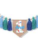 Rainbow 1st High Chair Banner - Colorful Tassel Highchair Banner, 1st Birthday Boy, Cake Smash Backdrop, Birthday Highchair Yarn Tassel Banner