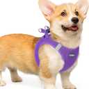 rabbitgoo Small Dog Harness, Step-in Soft Mesh Puppy Vest with Safety Buckle, Breathable Reflective Pet Harness for Dogs, Purple, Large