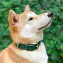 Tuff Pupper Classic Heavy Duty Dog Collar | 10x Stronger Than Leather | 100% Waterproof & Odor Proof Dog Collar | Tough Rust-Proof All Metal Hardware Size L