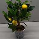 Artificial Potted Plants, 15.7 inches Small Fake Lemon Tree Artificial Lemons Citrus Tree with Blue and White Pot Faux Potted Plants Indoor Lemon Decorations for Home, Office, Living Room Table, Desk