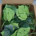 2Pcs Artificial Monstera Leaves Vines 4ft Fake Hanging Plant Ivy Vines Greenery Garland Faux Tropical Vine Decor for Wall Jungle Luau Beach Birthday Party Indoor Outdoor Home Dcor