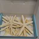 Jangostor 12 PCS Starfish 2-6 Inch Mixed Starfish Natural Seashells Starfish Star Fish Shells Decorations Perfect for Wedding Decor Beach Theme Party, Home Decorations, DIY Crafts, Fish Tank