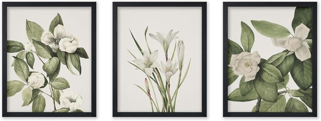 Poster Master 3-Piece Vintage White Flowers Poster - Retro Flower Print - Floral Art - Botanical Art - Gift for Men & Women - Aesthetic Decor for Bedroom, Living Room or Dorm - 8x10 UNFRAMED Wall Art (8L" x 10W", Style-05)