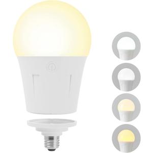 E12 Battery Operated Light Bulbs, Detachable Rechargeable LED Bulb with Remote Control, Dimmable, Amber/Warm/Neutral/Cool Light, RGB, Timer, Cordless Bulbs for Lamp and Sconce, 1 Pack