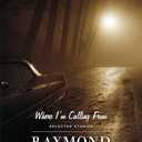 Where I'm Calling From: Selected Stories (Vintage Contemporaries)