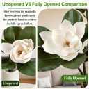 2PCS 33.5inch Artificial Magnolia Flowers with Green Magnolia Leaves and Fruit 3D Real Touch 2 Heads Long Stem Faux Magnolias Flower for Home Wedding Table Office Floral Arrangement Decoration (White)