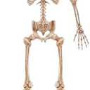 JOYIN 5.6 FT Halloween Posable Life Size Skeleton, Full Body Realistic Bones with Movable Joints, Giant Skeletons Halloween Decorations for Indoor Outdoor Haunted House Props, Spooky Scene Party Decor