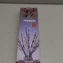 MENCH Branch Lights, 3 Pcs Twig Light USB&Battery Powered 8 Flashing Modes by Remote Control.Branch Lights for Indoor and Outdoor, Light Up Decorations for Halloween Day and Christmas, Warm White