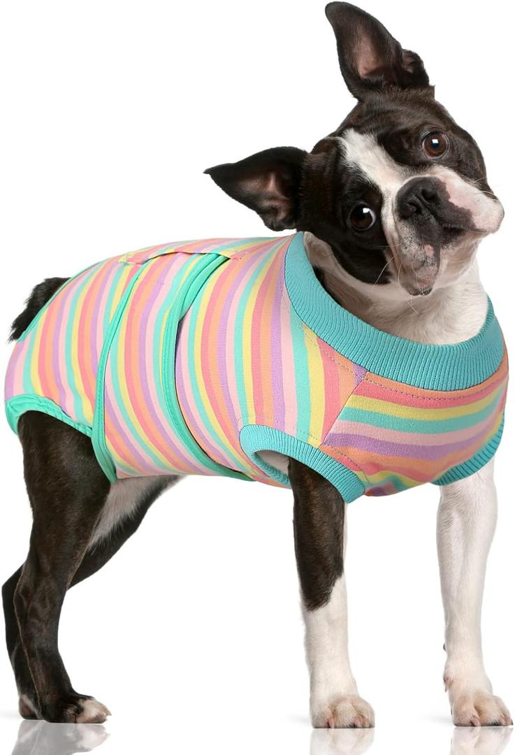 FUAMEY Recovery Suit for Dogs After Surgery,Soft Breathable Dog Bodysuit E-Collar & Cone Alternative Surgical Suit,Male Female Dog Neuter Spay Suits Anti Licking Wounds Onesie Mint Green Stripes L (L(Back:16.1-20.1in,WT:23-48lbs))