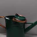 1 Gallon Metal Watering Can with Removable Spout, Nice Galvanized Steel Water Can with Embossed Design for Indoor and Outdoor Plants (Green)
