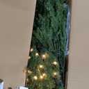 National Tree Company 7.5ft Pre-Lit Dunhill Fir Artificial Christmas Tree
750 Clear Lights, 2,514 Tips, Includes Stand, Green