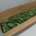 5FT Pre-lit Pencil Christmas Tree Spruce with Remote Control, 200 Warm White Multi-Color Lights, Artificial Hinged/Slim/Skinny/Feel Real/Realistic for Home, Holiday Decoration Dual Color LED 5 Feet (Green)