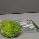 47.5" Car Wash Brush Mop Cleaning Tool with Long Handle Kit for Washing Detailing Cars Truck, SUV, RV, Trailer, Boat 2 in 1 Chenille Microfiber Sponge Duster Not Hurt Paint Scratch Free (Green)