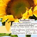 Babo Botanicals Swim & Sport Mineral Sunscreen Balm SPF50 - Natural Zinc Oxide - For Face & Body - For all Ages - Dermatologist Tested - Cruelty-Free - Fragrance-Free - EWG Verified - Water Resistant