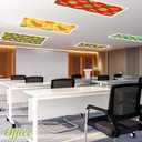 VIHOSE 6 Pcs Fluorescent Light Covers for Ceiling Lights Classroom Magnetic Light Covers Classroom Filters Office School Home Drop Ceiling, 4 x 2 ft (Fruit)