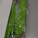 4 Pcs Artificial Greenery Stems Fake Bird Nest Fern Faux Branches Artificial Plants Realistic Fake Dracaena Realistic Plants for Indoor Outdoor Porch Patio Home Office Living Room Decor (Dark Green)
